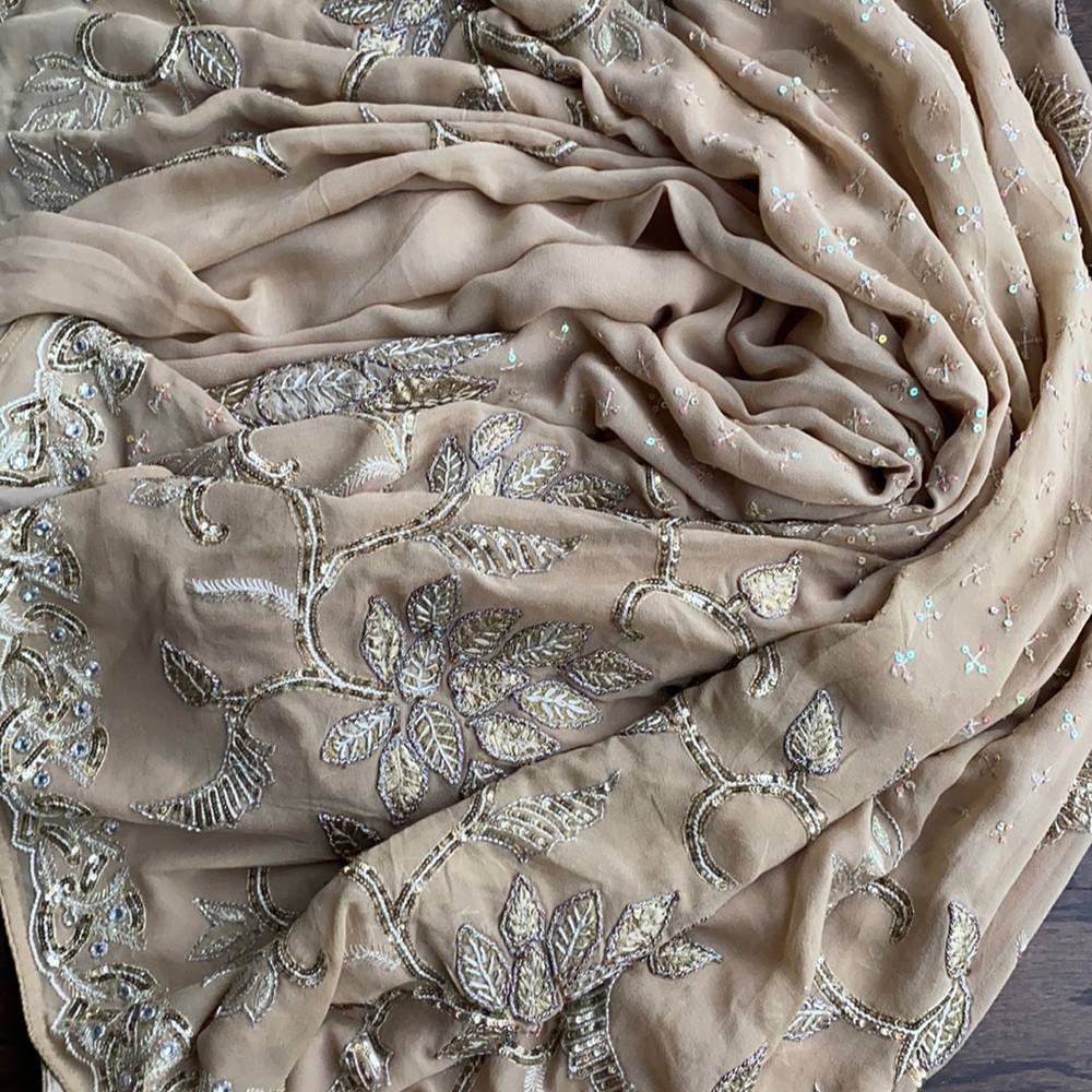 Champagne sari Indian, Pakistani, Bangladesh